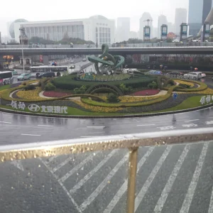 20161225_154701-scaled