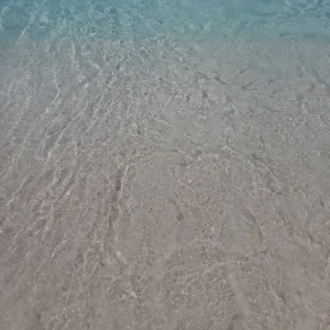 20190707_111450-scaled