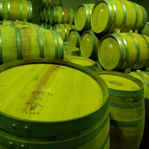 20200206_093048-scaled