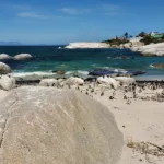 Celebrating in South Africa