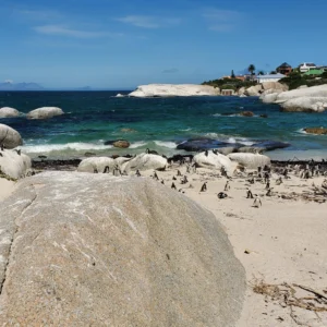 Celebrating in South Africa