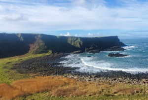 20240303_104920-1-1000x675