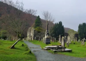 20240305_094944-400x284