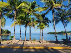 Read more about the article Say Yes to Roatan